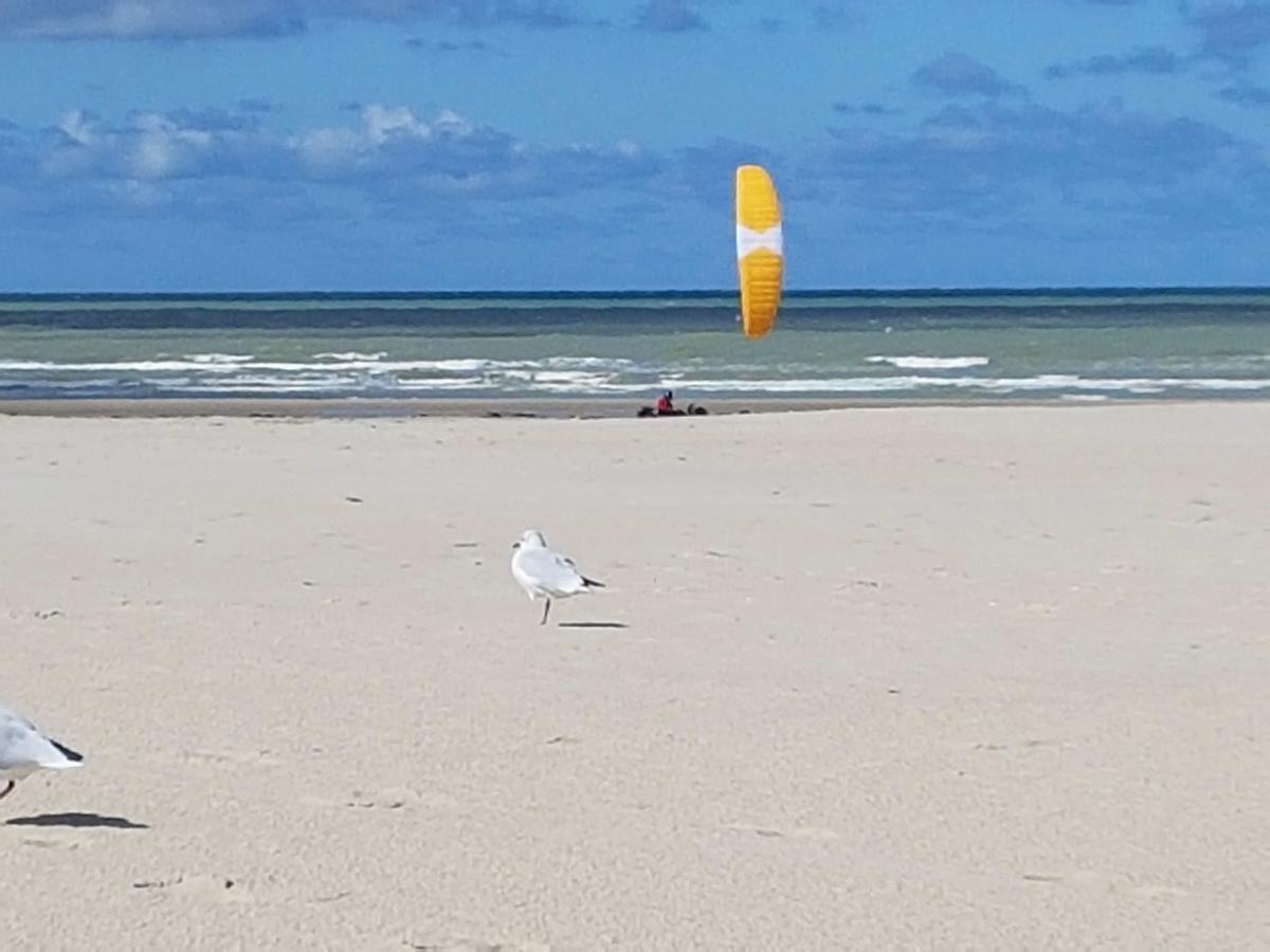 Les Coquillages, 2 Salles De Bains, Tout A Pied Berck Exterior photo
