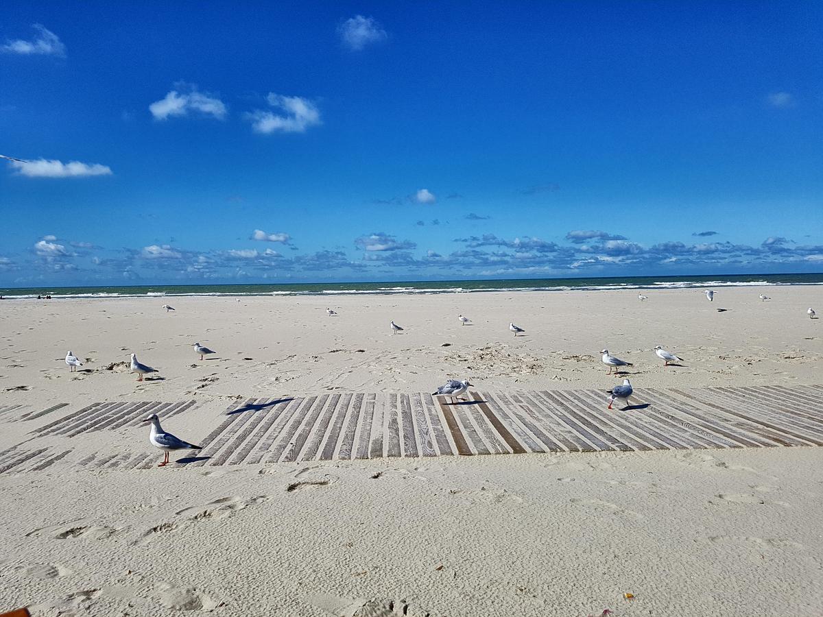 Les Coquillages, 2 Salles De Bains, Tout A Pied Berck Exterior photo